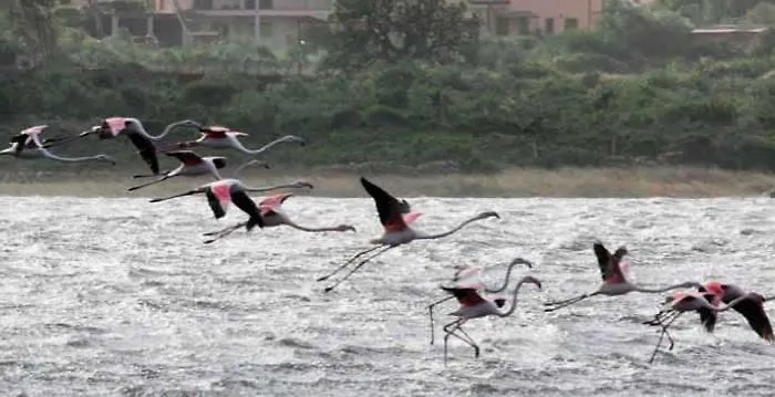 Гостевой дом Numero 3